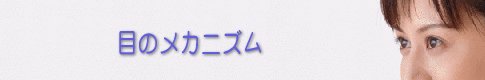目のメカニズム