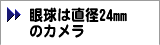 ዅ24mm̃J